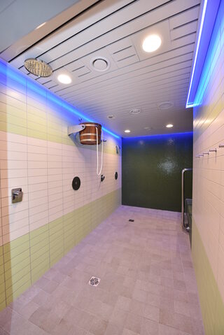 Sauna Duschbereich
